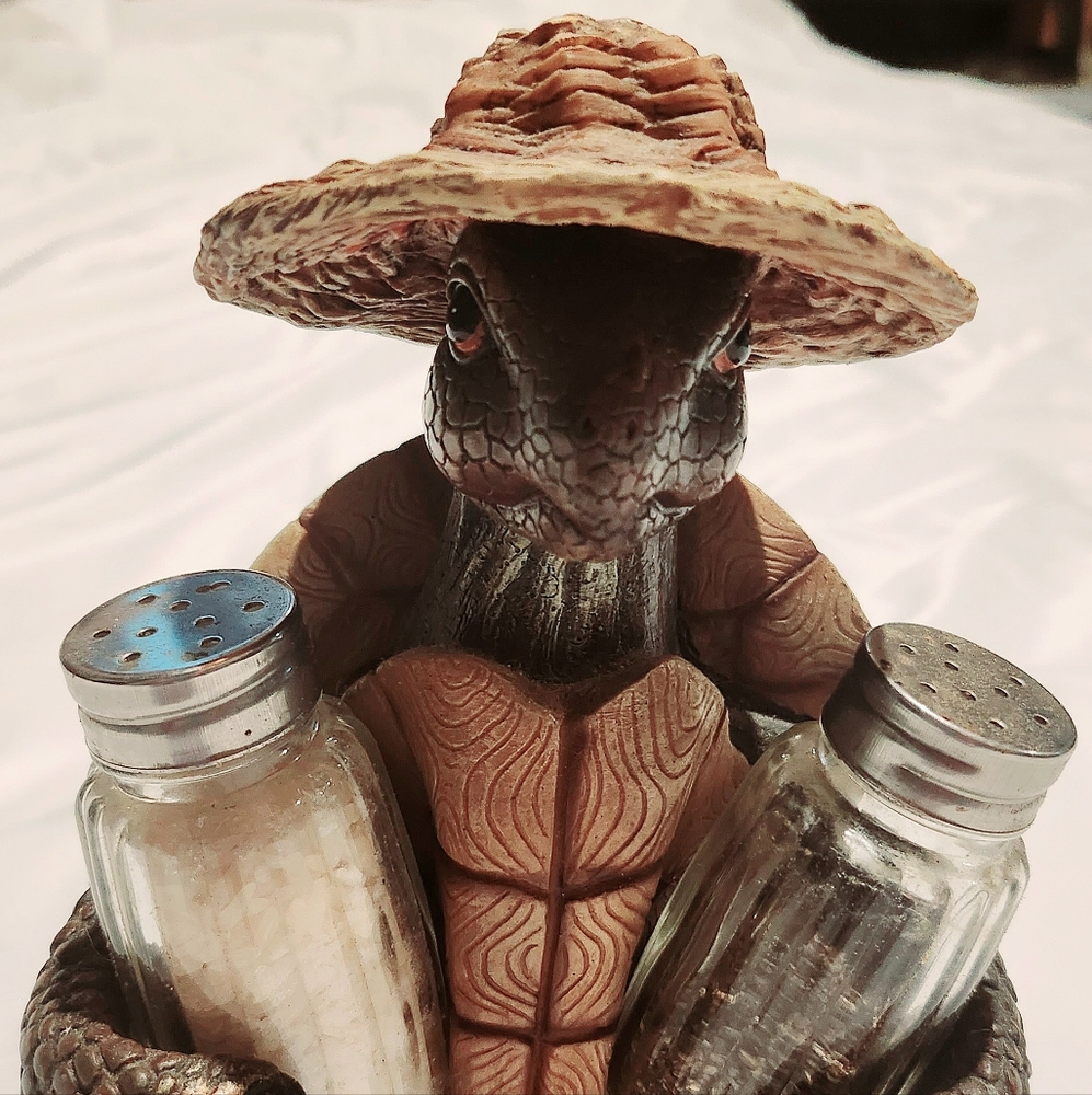 Turtle Salt & Pepper Shaker Set - Picture 2 of 3